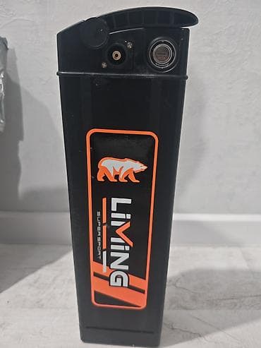 format velosiped: Электровелосипед — 1