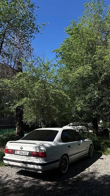 бу чехлы: BMW 5 series: 1990 г., 2.5 л, Седан — 10
