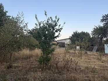 участки иссык куль: Улица Конур Осмон
Село кок жар — 7