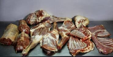 Бишкек Касапчы. забой разделка. работаем толка на виест. (сех