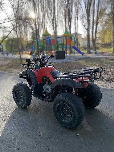 сервопривод купить: Квадроцикл Подходит для: - Прогулок по бездорожью, рыбалки, охоты - — 3