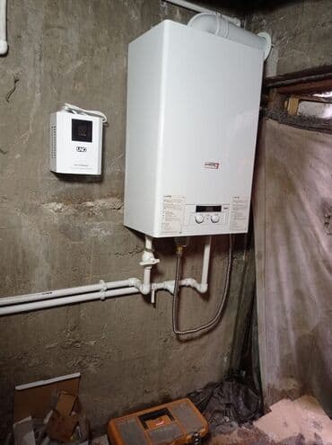 Газовый котел Protherm Lynx (Рысь) Имеется Сервисный Центр! 24 мес