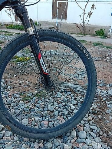 цена велика: Горный велосипед, Сталь — 4