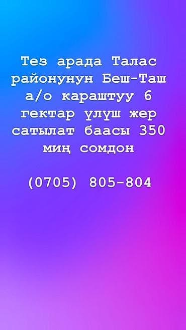 Кыймылсыз мүлк: 600 соток, Айыл чарба үчүн — 1