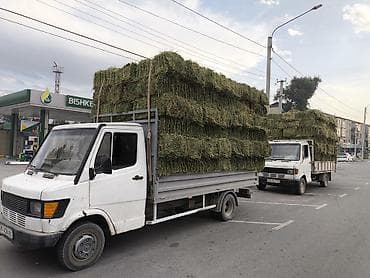 Транспорт: Жүк ташуучу унаа, Mercedes-Benz, Стандарт, 4 т, Колдонулган — 7