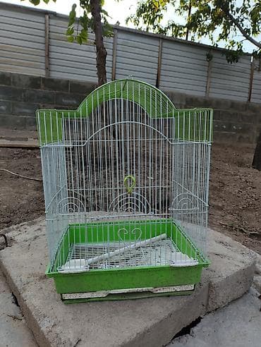 Защитные сетки от птиц