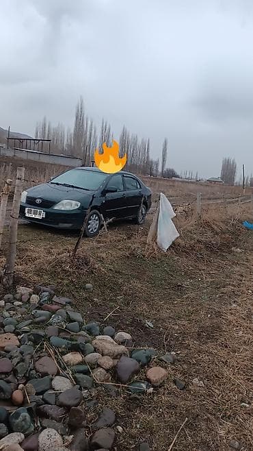 honda torneo авто: Toyota Corolla: 2002 г., 1.6 л, Механика, Бензин, Седан — 2
