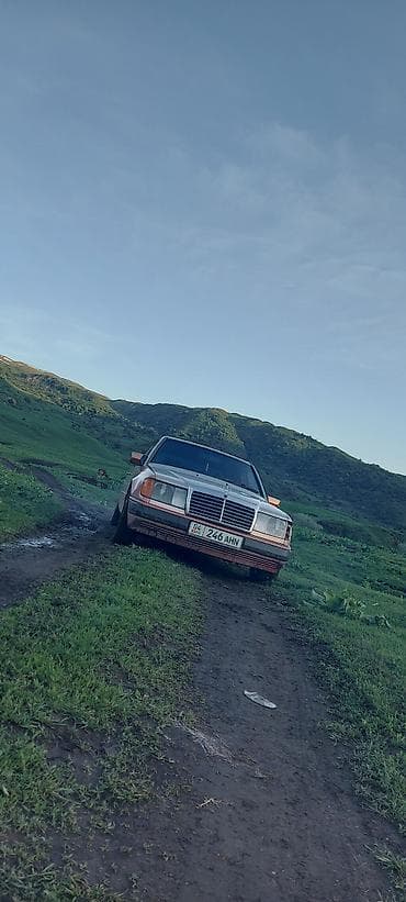 john dere: Mercedes-Benz W124: 1990 г., 2.9 л, Механика, Дизель, Седан — 1
