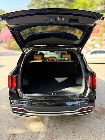 108: Kia Sorento: 2020 г. — 5