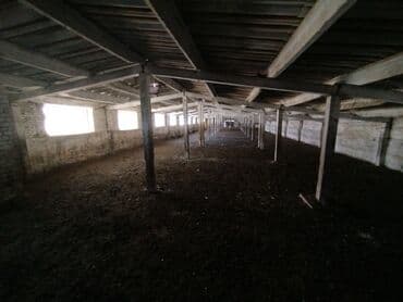 батир издейм: Продаю Кошара, 1700 соток, Действующий, С оборудованием, Электричество — 7