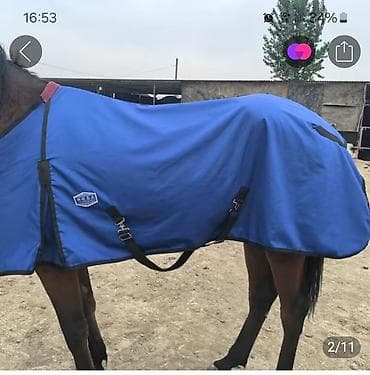 Комплект товаров для фермы, дачи и активного отдыха: 1) Попона для