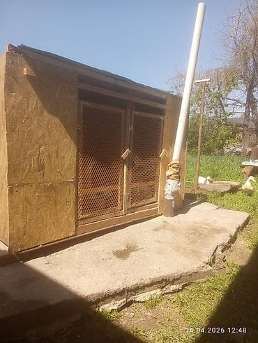 яйцо на инкубацию купить: Утеплённый уличный вольер/курятник из фанеры и ОСБ - Конструкция — 2