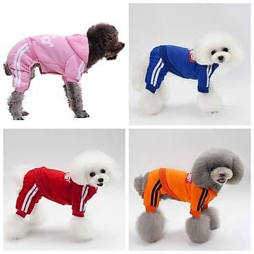 Зоотовары: ПРОДАЮ НОВУЮ КОГТЕТОЧКУ СТОЛБИК С КОШАЧЬЕЙ МЯТОЙ,А ТАК ЖЕ — 4