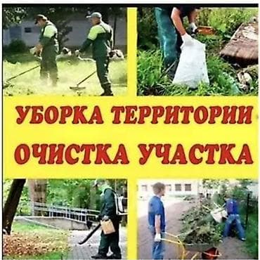 master clean: Уборка территории, Уборка двора и сада — 2
