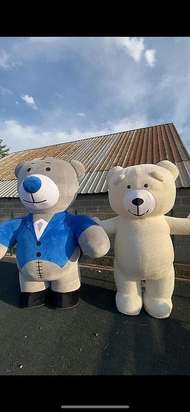 12 мик: Мишки TEDDY 25,000 сом одна 2 50,000 сом можем договорится в комплекте — 2