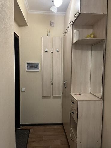 квартира на иссык: Студия, С мебелью полностью — 3