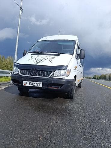 спринтер бу: Mercedes-Benz Спринтер: 2003 г., 2.2 л, Механика, Дизель, Фургон — 8
