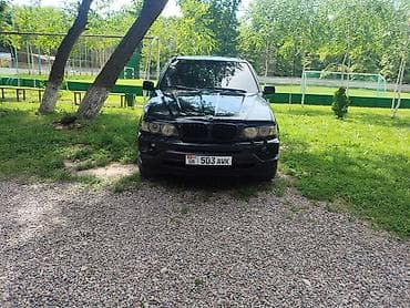BMW: BMW X5: 2003 г., 3 л, Автомат, Дизель, Кроссовер — 8