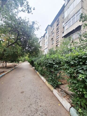 куплю квартиру кок жар: 2 комнаты, 43 м², 104 серия, 5 этаж, Косметический ремонт — 1