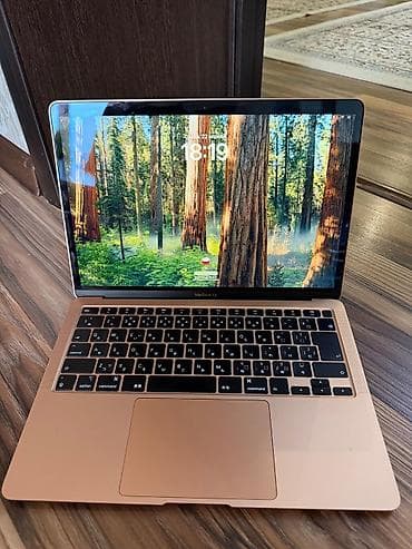 ipad mini 9: Для учебы, Б/у, Intel Core i3, ОЗУ, RAM: 8 ГБ — 2