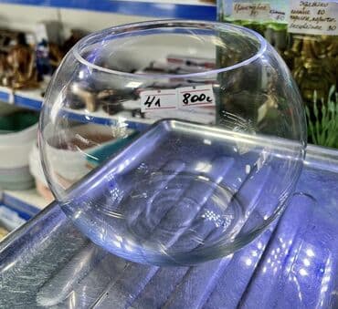все для аквариума бишкек: Круглые аквариумы от 1,5л до 22л зоомагазин Жемчужина Мы находимся — 2