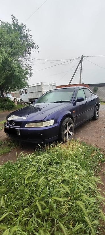 айнек авто: Honda Accord: 2001 г., Газ, Седан — 1