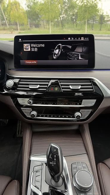 BMW: BMW 5 series: 2020 г., 2 л, Автомат, Дизель, Седан — 8