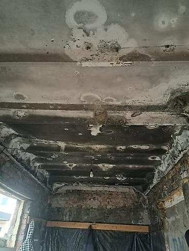 плесень: Дезинфекция, дезинсекция, | Подвал, погреб — 1