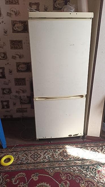 fridge: Холодильник двухкамерный, классический формат с нижней морозильной — 2