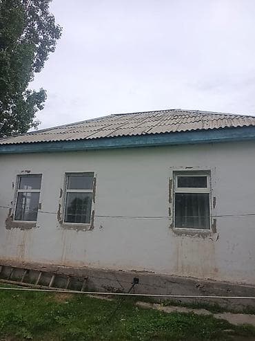 Жилой дом с придомовым участком и хозяйственными постройками. Иссык — 3