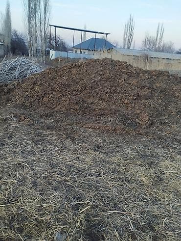 семена эспарцета купить: Удобрение — 2