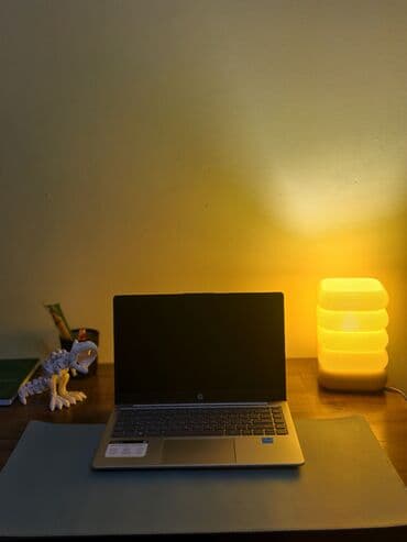 лампы для цветов: Настольный светильник для домашнего декора. в наличии в четырех — 5