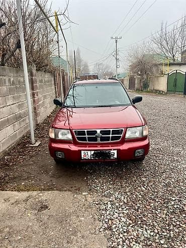 машина subaru: Subaru Forester: 1999 г., 2.5 л, Автомат, Бензин, Кроссовер — 3