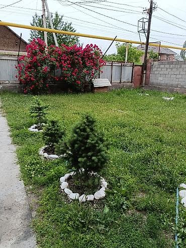 дома без хозяина: 🏡 Продается уютный дом в ж/м Колмо ✨ Отличный вариант для комфортной — 5