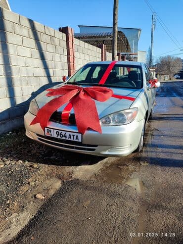 искусственные розы: Лента, банты в аренду — 1