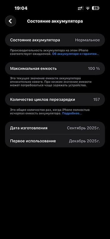 IPhone 17 Pro Max, 256 ГБ, Оранжевый, Кабель, 100 % — 2