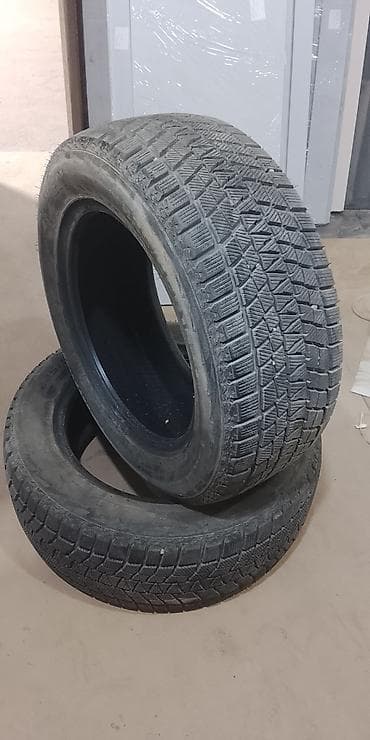 балон зимний: Зимние шины 225/55 R16 (без шипов) 2 штуки - Тип: зимние, фрикционные — 3
