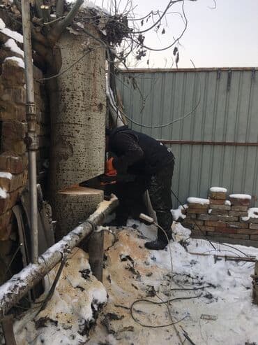 кресло барбер: Профессионально оперативно быстро спил любой сложности. Без выходных — 2