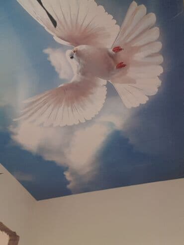 xeon e3 12: Натяжнойдон потолок жазайбыз бат жана таза, чаң жок, жыты жок сапаты — 10