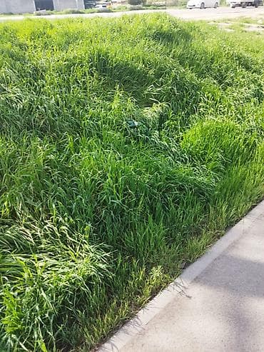 Другие услуги: Сдаю участок под бизнес на первой линии Гагарина Кривоносова 5 сот — 1