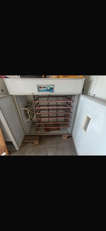 ps3 цена бу: Продаётся выводной инкубатор на 12 ( 1050 куриных яиц) лотков — 4