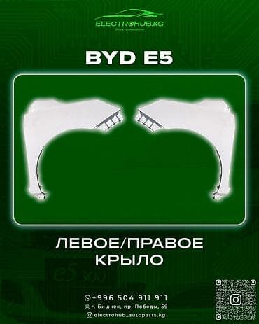 решетка бампера: Решетка радиатора BYD — 2