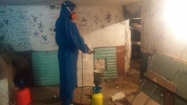 Кызматтар: Дезинфекциялоо, дезинсекциялоо, | Канталалар, Бүргөлөр, Таракандар, | Транспорт, Офистер, Батирлер — 5