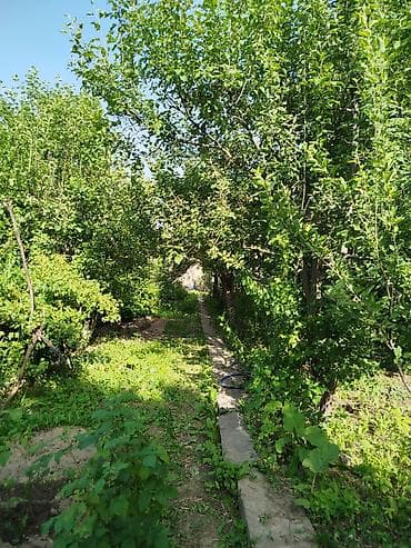 Продаю дачу на панораме, участок фактически 6 соток. - Дом с мансардой — 3
