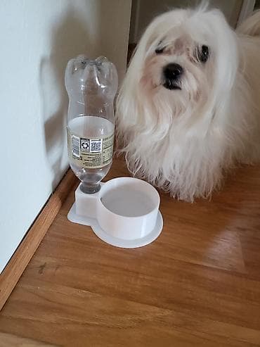 ат пони: Миски и поилки для домашних животных (3D‑печать) - Автопоилка с — 1