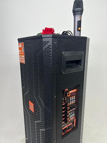 Портативная акустическая система JAW X8SH с беспроводным микрофоном -
