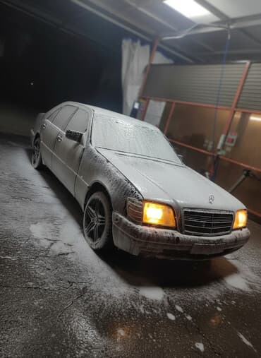 Mercedes-Benz S-Class: 1992 г., 3 л, Механика, Дизель, Седан