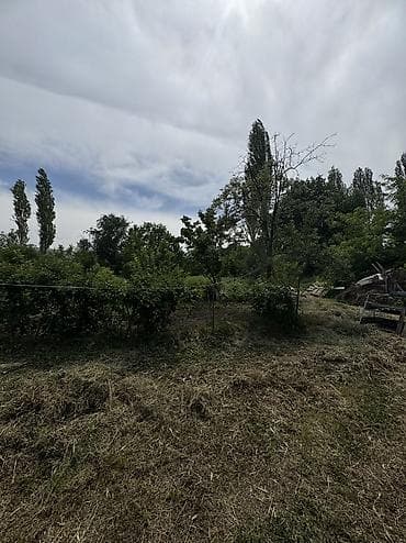 кызыл таш: 9 соток, Курулуш, Кызыл китеп, Сатып алуу-сатуу келишими — 2