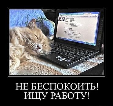 one stop: Здравствуйте! Меня зовут Эльнура, мне 16 лет. Ищу работу с гибким и — 1