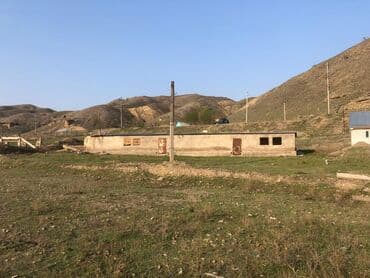 срочно продаю дом в шопокове: Срочно Продаю большой дом с времянкой и кошарой ПОД БИЗНЕС. Расположен — 7